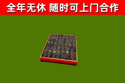 黄石回收海参